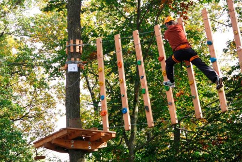 Веревочные парки на деревьях